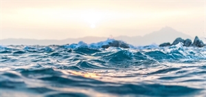 Lloyd’s Register launches Maritime Decarbonisation Hub