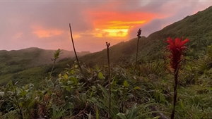 Embarking on a Caribbean journey in the Guadeloupe Islands