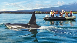 Exploring the Galapagos Islands with Metropolitan Touring