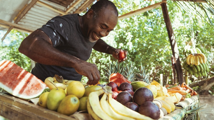 Regional spotlight: Florida-Caribbean