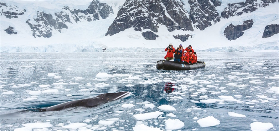    940420p516EDNmainimg Lindblad Creates Antarctica Voyage – Credit Bennett Goldberg Lindblad Expeditions 940x443 