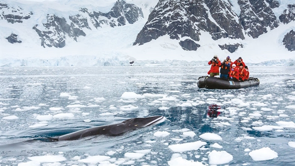 National Geographic Endurance to offer new Antarctica cruises