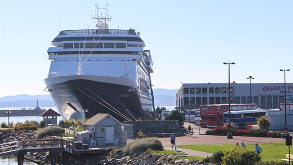 GVHA to extend dolphins at Ogden Point Cruise Terminal